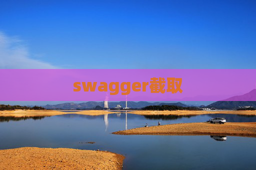 swagger截取
